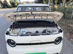 Geely Panda Mini 210km Vitality Edition - ფოტო 20