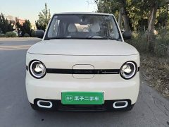 Geely Panda Mini 210km Vitality Edition - ფოტო 3