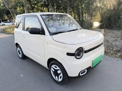 Geely Panda Mini 210km Vitality Edition - ფოტო 4