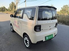Geely Panda Mini 210km Vitality Edition - ფოტო 5
