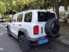 Tank 300 2.0T Challenger - ფოტო 5