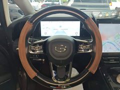 GAC Aion E9 Master - ფოტო 11