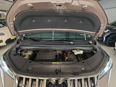 GAC Aion E9 Master - ფოტო 20