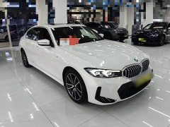 BMW 3 Series 320Li M Sport Package - ფოტო 4