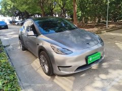 Tesla Model Y Rear-Wheel Drive - ფოტო 4