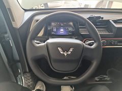 Wuling Hongguang MINIEV 2020 Deluxe Edition LFP Battery - ფოტო 11