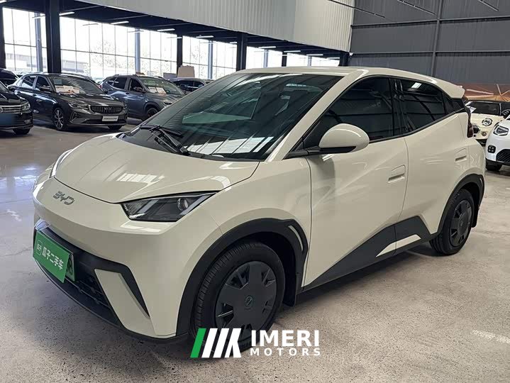 BYD Seagull 2025 305km Vitality Edition - ავტომობილი ჩინეთიდან