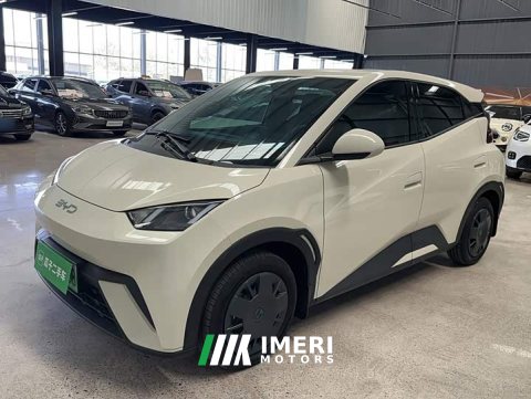 2024 BYD Seagull 2025 305km Vitality Edition - ავტომობილი ჩინეთიდან