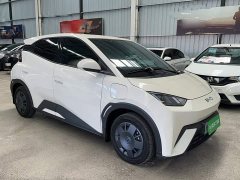 BYD Seagull 2025 305km Vitality Edition - ფოტო 11