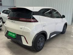 BYD Seagull 2025 305km Vitality Edition - ფოტო 13