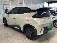 BYD Seagull 2025 305km Vitality Edition - ფოტო 16