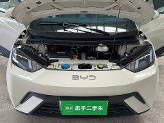 BYD Seagull 2025 305km Vitality Edition - ფოტო 20