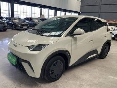 BYD Seagull 2025 305km Vitality Edition - ფოტო 3
