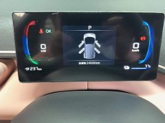 BYD Seagull 2025 305km Vitality Edition - ფოტო 8