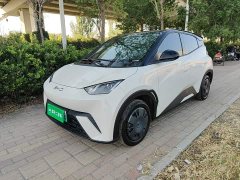BYD Seagull 2025 305km Vitality Edition - ფოტო 1