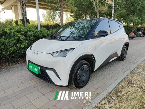 2024 BYD Seagull 2025 305km Vitality Edition - ავტომობილი ჩინეთიდან