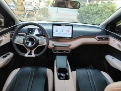 BYD Seagull 2025 305km Vitality Edition - ფოტო 10