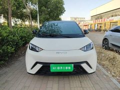 BYD Seagull 2025 305km Vitality Edition - ფოტო 3