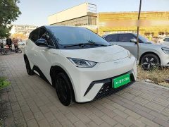 BYD Seagull 2025 305km Vitality Edition - ფოტო 4