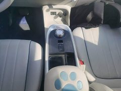 ORA Good Cat 2022 400km Standard Range Luxury Lithium Iron Phosphate - ფოტო 10
