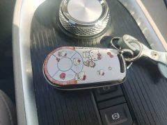 ORA Good Cat 2022 400km Standard Range Luxury Lithium Iron Phosphate - ფოტო 17