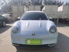 ORA Good Cat 2022 400km Standard Range Luxury Lithium Iron Phosphate - ფოტო 3