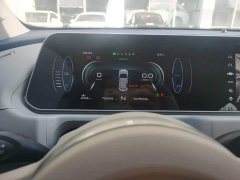 ORA Good Cat 2022 400km Standard Range Luxury Lithium Iron Phosphate - ფოტო 8