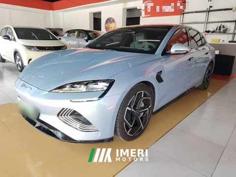 2023 BYD Dolphin 700km Long Range Rear-Wheel Drive - ავტომობილი ჩინეთიდან