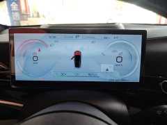 BYD Dolphin 700km Long Range Rear-Wheel Drive - ფოტო 12