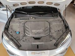 BYD Dolphin 700km Long Range Rear-Wheel Drive - ფოტო 20
