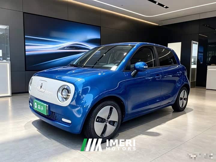 ORA Black Cat Facelift 301km Pet-Lover Edition LFP Battery - ავტომობილი ჩინეთიდან