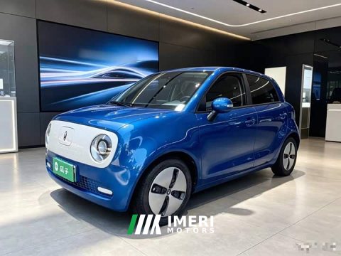 2022 ORA Black Cat Facelift 301km Pet-Lover Edition LFP Battery - ავტომობილი ჩინეთიდან