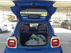 ORA Black Cat Facelift 301km Pet-Lover Edition LFP Battery - ფოტო 19