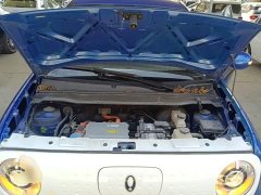 ORA Black Cat Facelift 301km Pet-Lover Edition LFP Battery - ფოტო 20