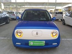 ORA Black Cat Facelift 301km Pet-Lover Edition LFP Battery - ფოტო 3