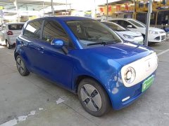 ORA Black Cat Facelift 301km Pet-Lover Edition LFP Battery - ფოტო 4