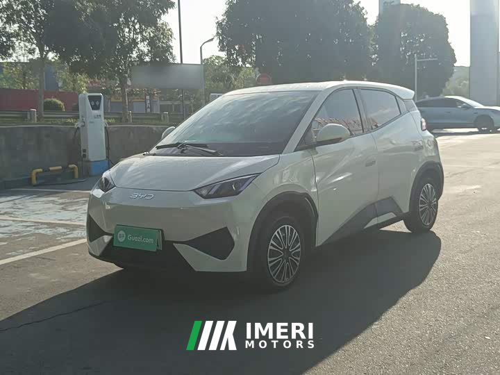BYD Seagull Smart Drive 305km Vitality Edition - ავტომობილი ჩინეთიდან