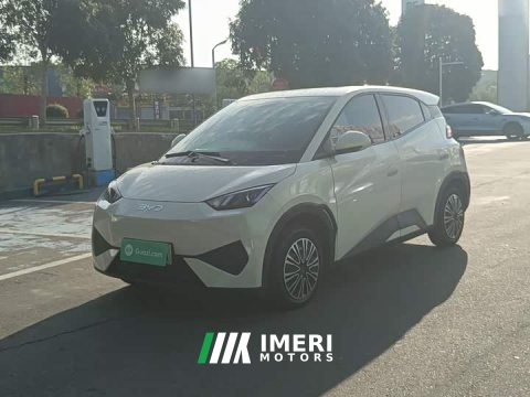 2025 BYD Seagull Smart Drive 305km Vitality Edition - ავტომობილი ჩინეთიდან