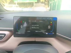 BYD Seagull Smart Drive 305km Vitality Edition - ფოტო 12