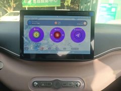 BYD Seagull Smart Drive 305km Vitality Edition - ფოტო 13