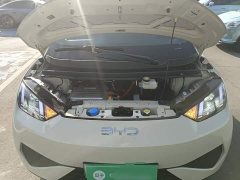 BYD Seagull Smart Drive 305km Vitality Edition - ფოტო 20