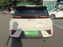 BYD Seagull Smart Drive 305km Vitality Edition - ფოტო 6