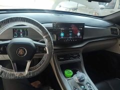 BYD Qin Plus DM-i 55KM Flagship - ფოტო 10