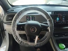 BYD Qin Plus DM-i 55KM Flagship - ფოტო 11