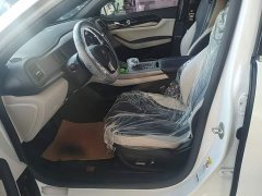 BYD Qin Plus DM-i 55KM Flagship - ფოტო 15