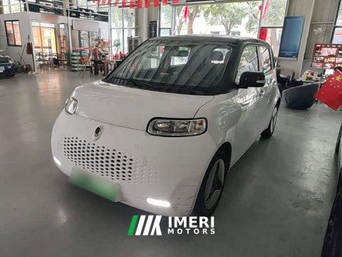 2021 ORA White Cat 2020 360km Luxury - ავტომობილი ჩინეთიდან
