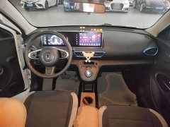 ORA White Cat 2020 360km Luxury - ფოტო 10