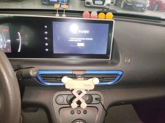 ORA White Cat 2020 360km Luxury - ფოტო 13