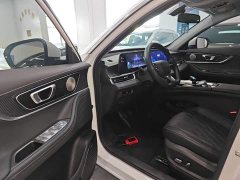 Chery Tiggo 7 Plus 1.6T GDI DCT Luxury - ფოტო 16