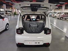 Geely Panda 2025 Panda Mini 210km Vitality Edition - ფოტო 19
